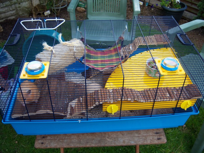savic hamster heaven 80 cage